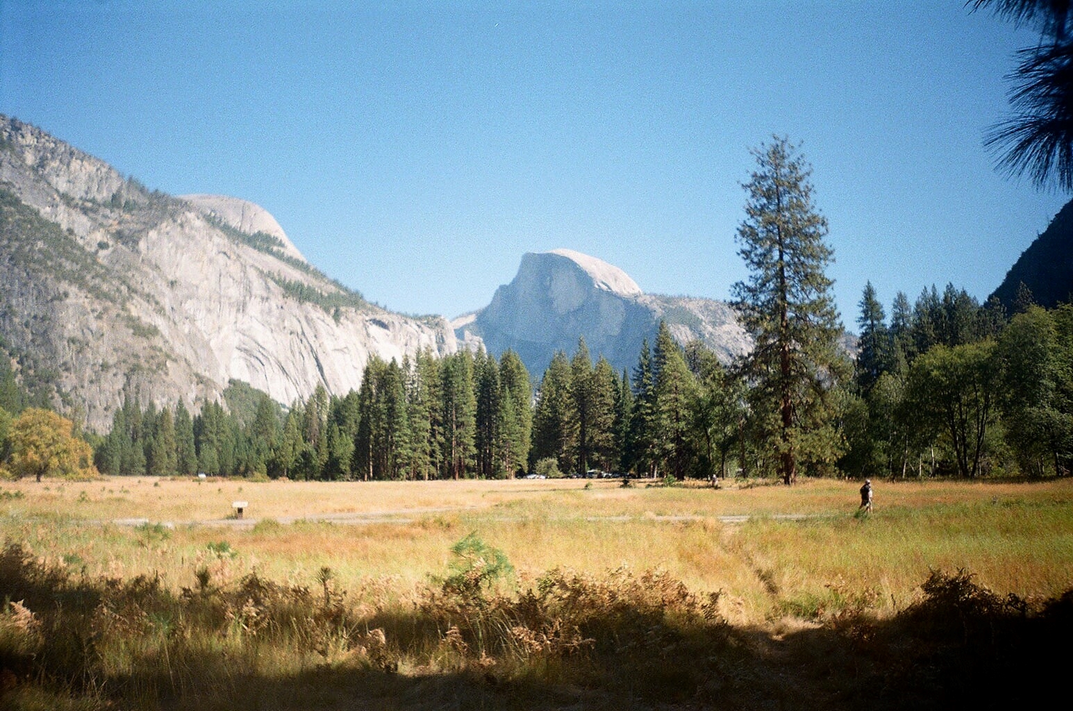 Cook's Meadow Loop, Yosemite Valley, CA